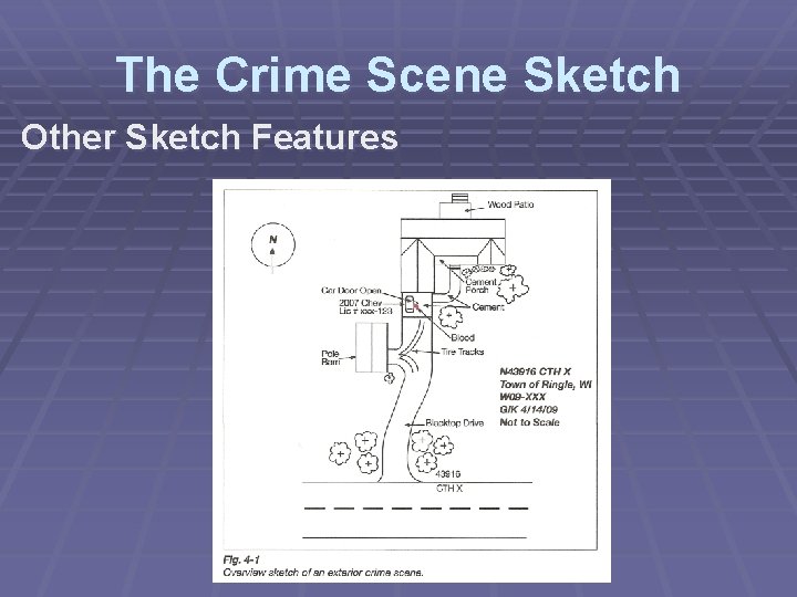The Crime Scene Sketch Other Sketch Features 