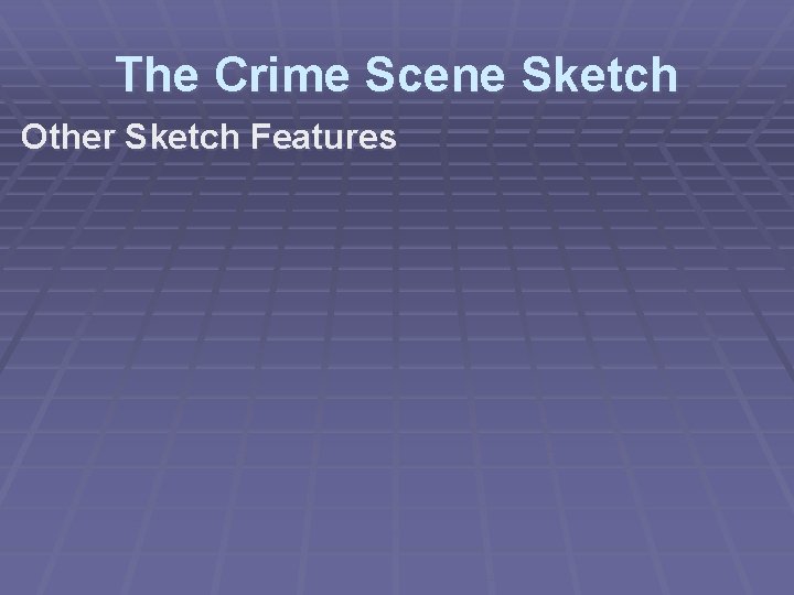 The Crime Scene Sketch Other Sketch Features 