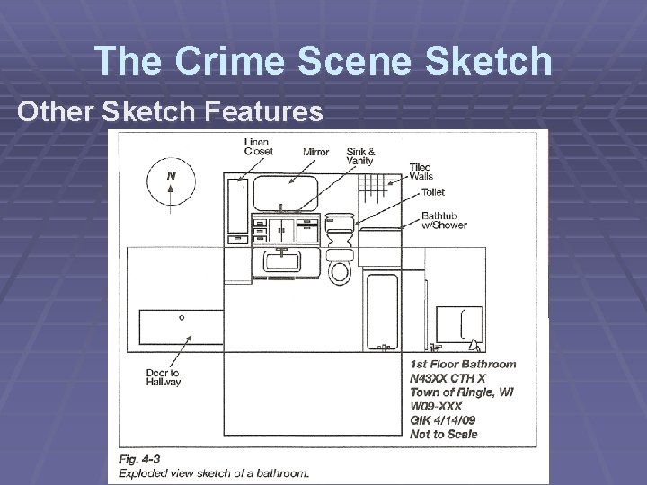 The Crime Scene Sketch Other Sketch Features 