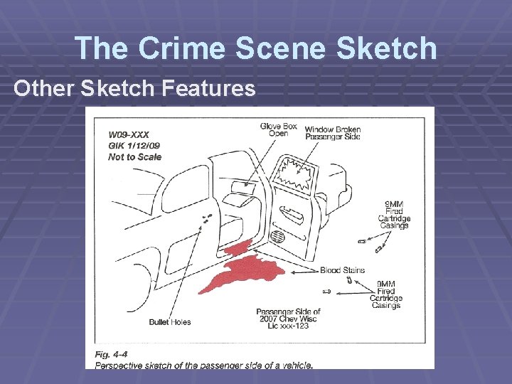 The Crime Scene Sketch Other Sketch Features 