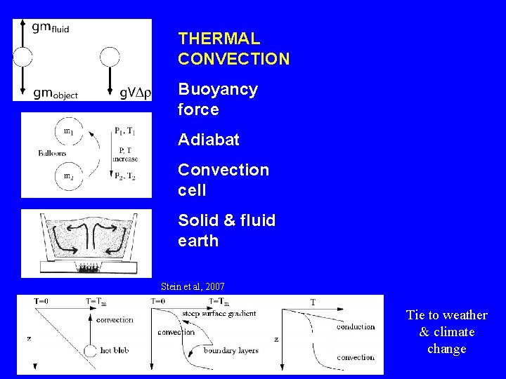 THERMAL CONVECTION Buoyancy force Adiabat Convection cell Solid & fluid earth Stein et al,