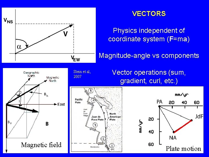 VECTORS Physics independent of coordinate system (F=ma) Magnitude-angle vs components Stein et al, 2007