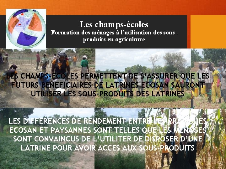 Les champs-écoles Formation des ménages à l’utilisation des sousproduits en agriculture LES CHAMPS-ECOLES PERMETTENT Les champs-écoles Formation des ménages à l’utilisation des sousproduits en agriculture LES CHAMPS-ECOLES PERMETTENT