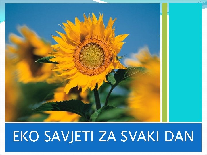 EKO SAVJETI ZA SVAKI DAN 