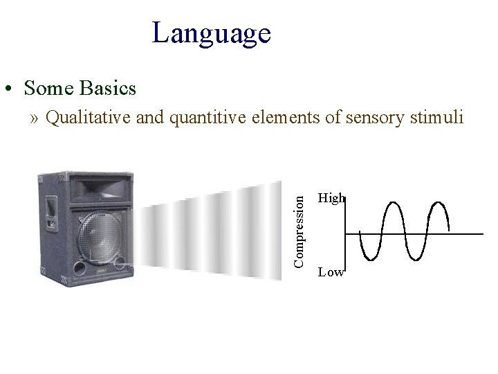Language • Some Basics Compression » Qualitative and quantitive elements of sensory stimuli High