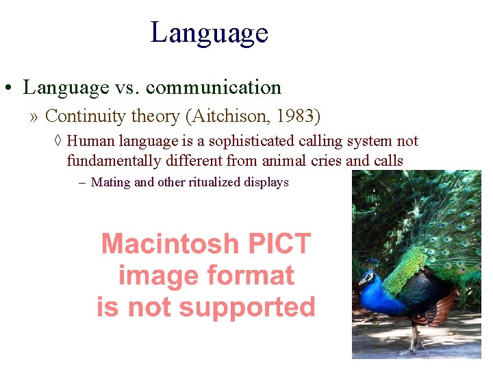 Language • Language vs. communication » Continuity theory (Aitchison, 1983) ◊ Human language is