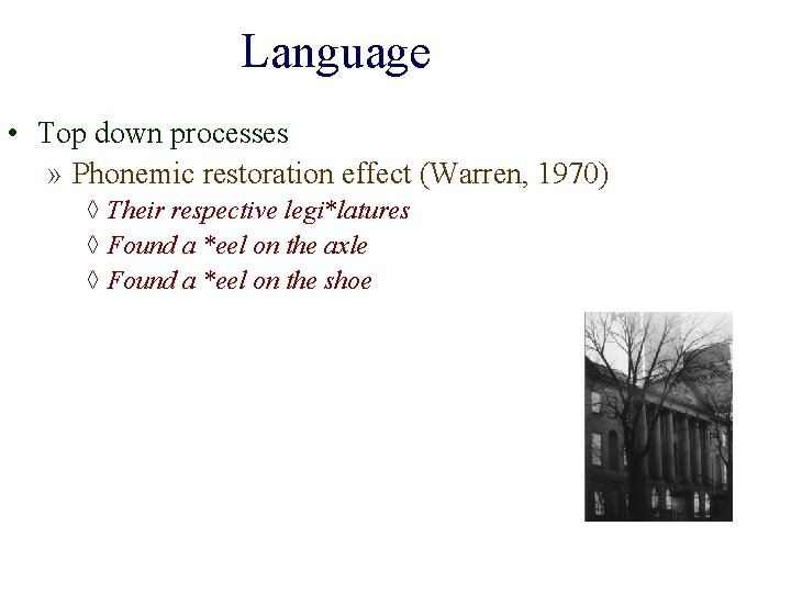 Language • Top down processes » Phonemic restoration effect (Warren, 1970) ◊ Their respective
