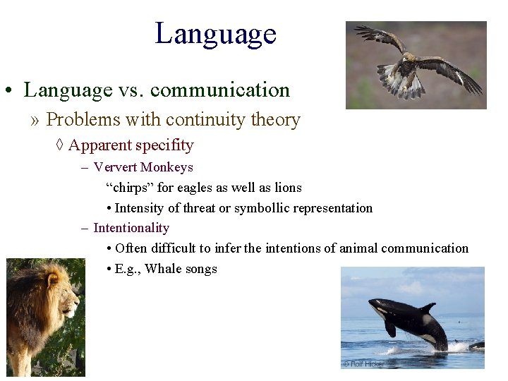 Language • Language vs. communication » Problems with continuity theory ◊ Apparent specifity –