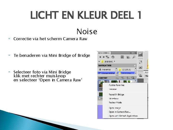 LICHT EN KLEUR DEEL 1 Noise Correctie via het scherm Camera Raw Te benaderen