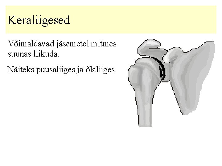 Keraliigesed Võimaldavad jäsemetel mitmes suunas liikuda. Näiteks puusaliiges ja õlaliiges. 