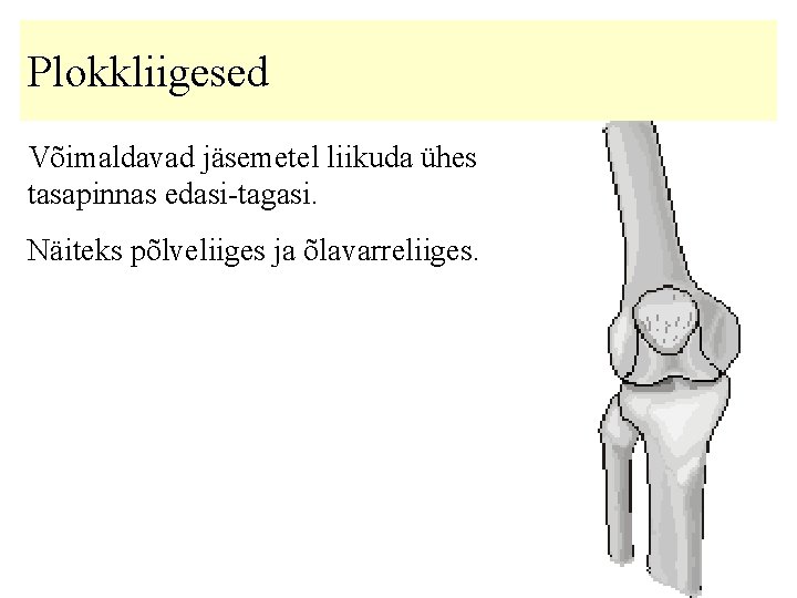 Plokkliigesed Võimaldavad jäsemetel liikuda ühes tasapinnas edasi-tagasi. Näiteks põlveliiges ja õlavarreliiges. 