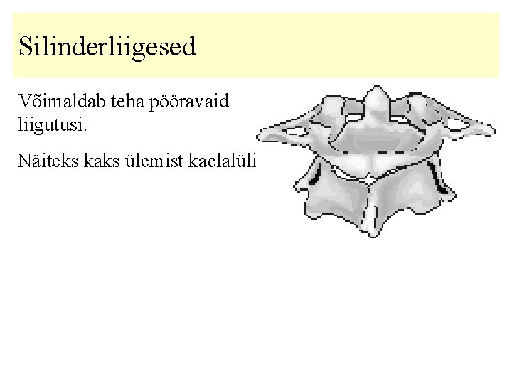 Silinderliigesed Võimaldab teha pööravaid liigutusi. Näiteks kaks ülemist kaelalüli. 