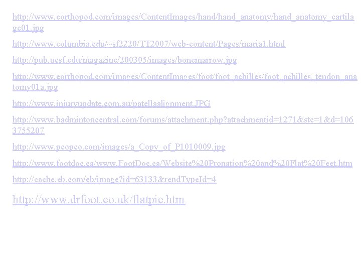 http: //www. eorthopod. com/images/Content. Images/hand_anatomy/hand_anatomy_cartila ge 01. jpg http: //www. columbia. edu/~sf 2220/TT 2007/web-content/Pages/maria