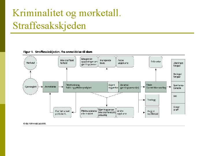 Kriminalitet og mørketall. Straffesakskjeden 