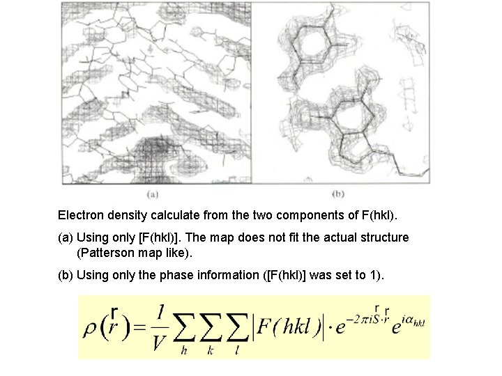 Electron density calculate from the two components of F(hkl). (a) Using only [F(hkl)]. The