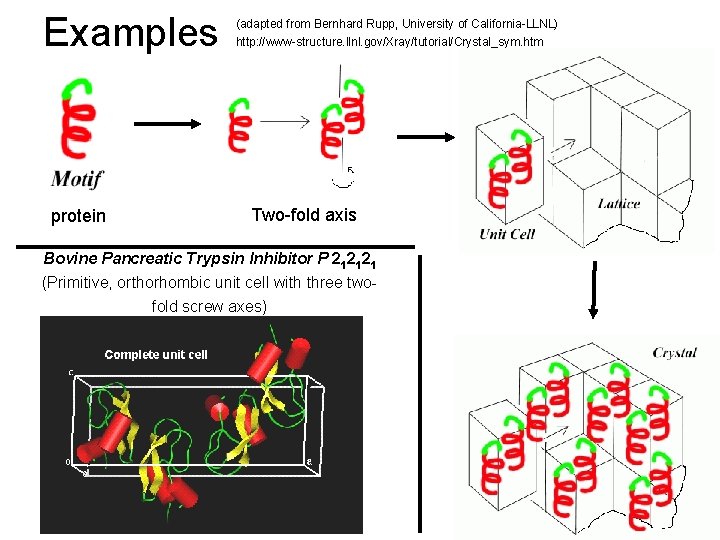 Examples protein (adapted from Bernhard Rupp, University of California-LLNL) http: //www-structure. llnl. gov/Xray/tutorial/Crystal_sym. htm