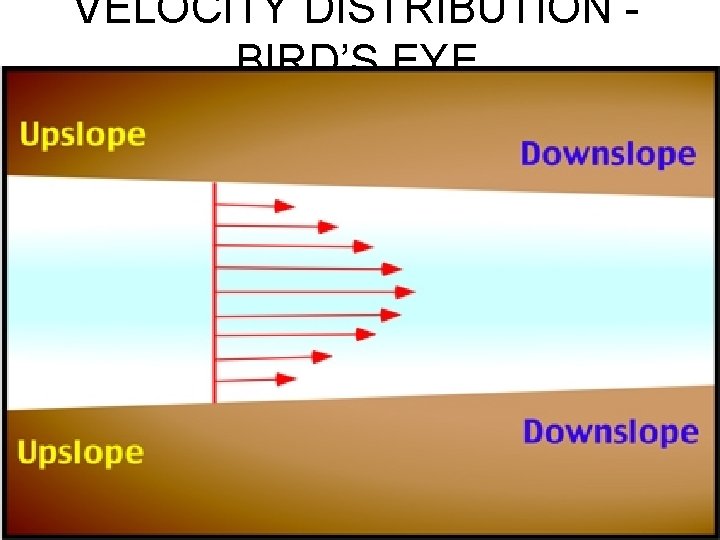 VELOCITY DISTRIBUTION BIRD’S EYE 
