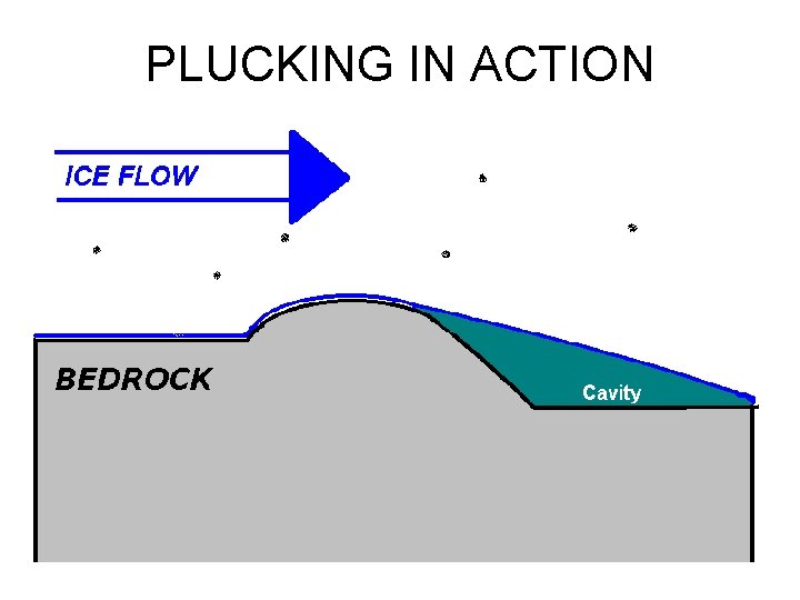PLUCKING IN ACTION 