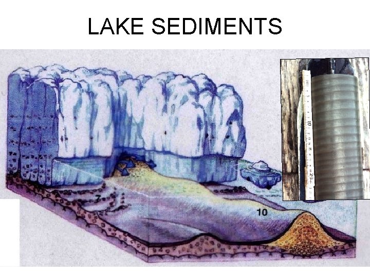 LAKE SEDIMENTS 