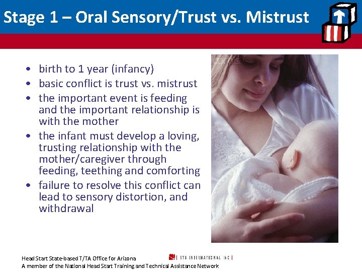 Stage 1 – Oral Sensory/Trust vs. Mistrust • birth to 1 year (infancy) •