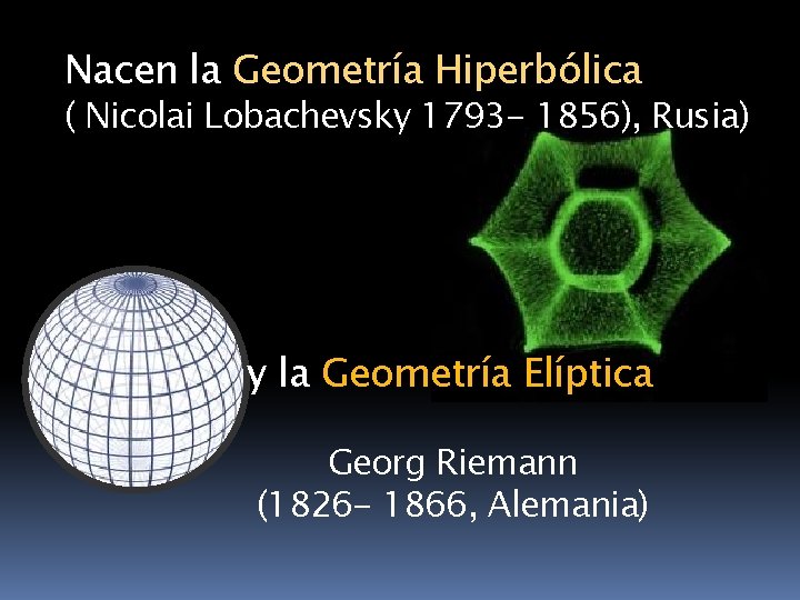 Nacen la Geometría Hiperbólica ( Nicolai Lobachevsky 1793 - 1856), Rusia) y la Geometría