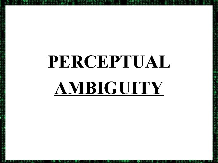 PERCEPTUAL AMBIGUITY 