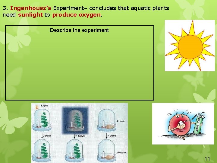 3. Ingenhousz’s Experiment– concludes that aquatic plants need sunlight to produce oxygen. Describe the