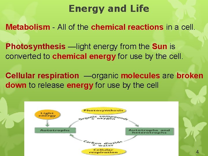 Energy and Life Metabolism - All of the chemical reactions in a cell. Photosynthesis