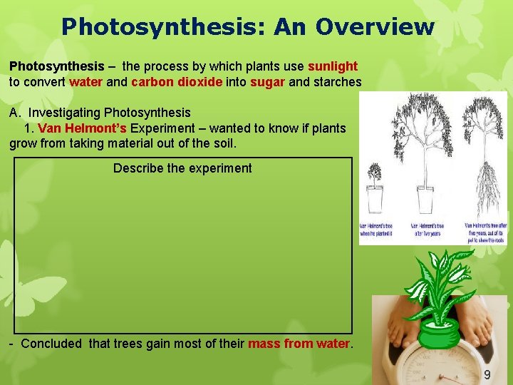 Photosynthesis: An Overview Photosynthesis – the process by which plants use sunlight to convert