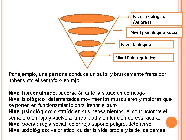 Nivel axiológico (valores) Nivel psicológico-social Nivel biológico Nivel físico-químico Por ejemplo, una persona conduce