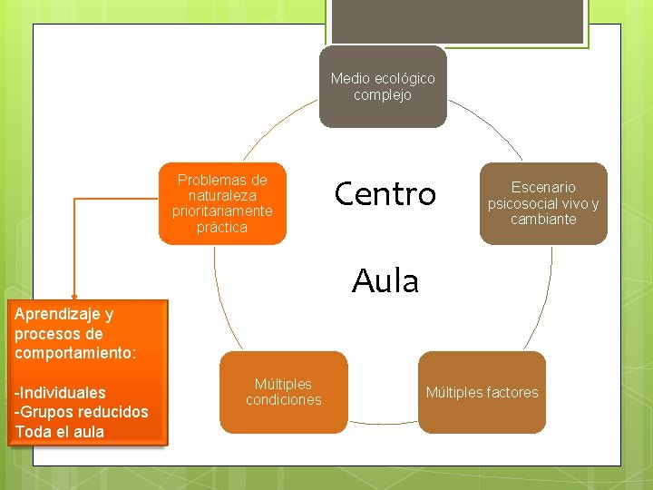 Medio ecológico complejo Problemas de naturaleza prioritariamente práctica Centro Escenario psicosocial vivo y cambiante