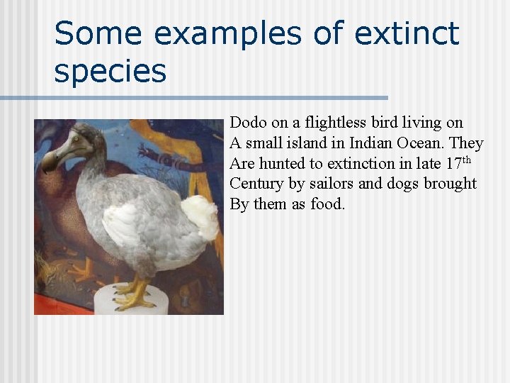 Some examples of extinct species Dodo on a flightless bird living on A small