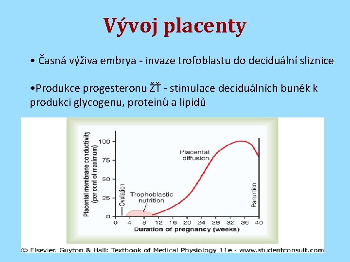 Vývoj placenty • Časná výživa embrya - invaze trofoblastu do deciduální sliznice • Produkce