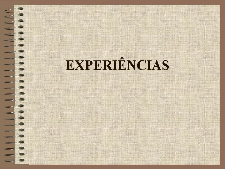 EXPERIÊNCIAS 