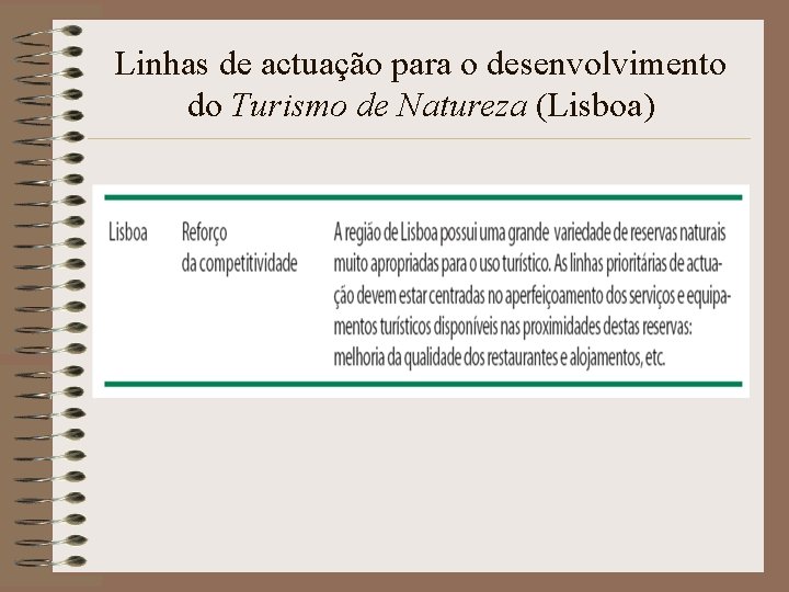 Linhas de actuação para o desenvolvimento do Turismo de Natureza (Lisboa) 