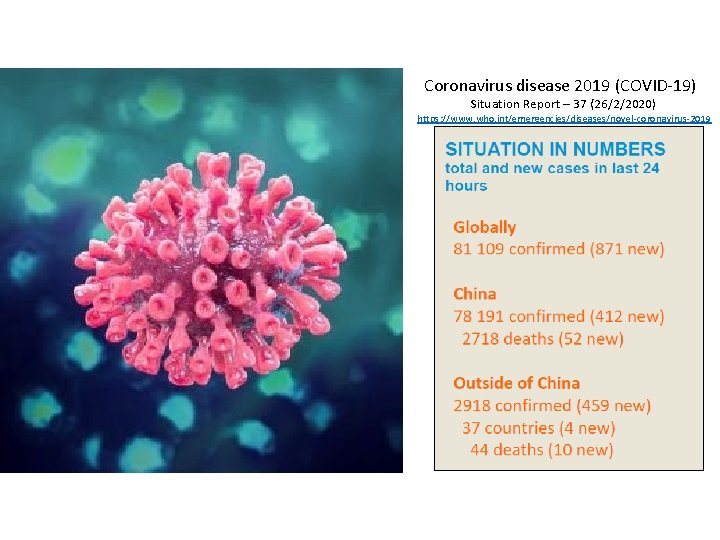 Coronavirus disease 2019 (COVID-19) Situation Report – 37 (26/2/2020) https: //www. who. int/emergencies/diseases/novel-coronavirus-2019 Coronavirus disease 2019 (COVID-19) Situation Report – 37 (26/2/2020) https: //www. who. int/emergencies/diseases/novel-coronavirus-2019