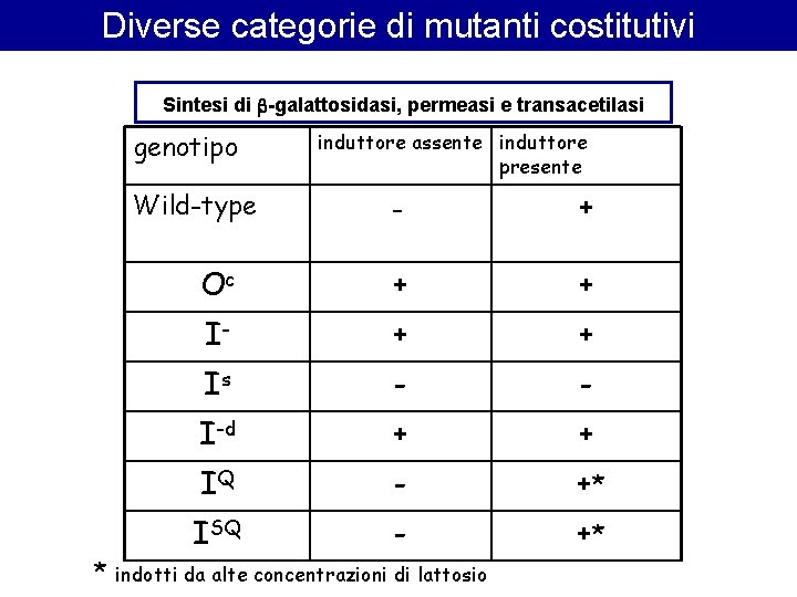 Diverse categorie di mutanti costitutivi Sintesi di -galattosidasi, permeasi e transacetilasi genotipo induttore assente