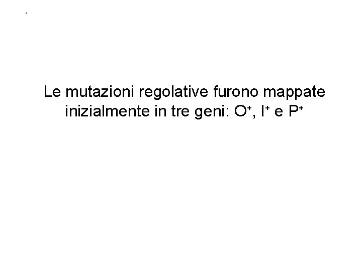 . Le mutazioni regolative furono mappate inizialmente in tre geni: O+, I+ e P+