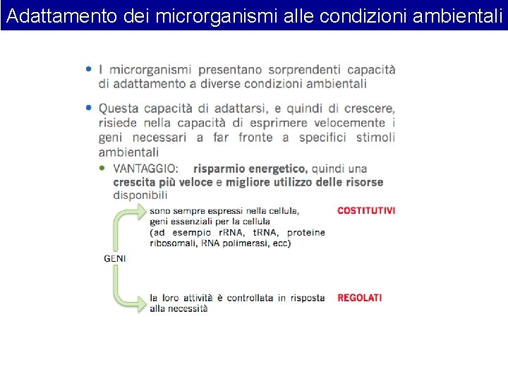 Adattamento dei microrganismi alle condizioni ambientali 