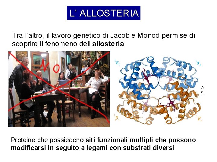 L’ ALLOSTERIA Tra l’altro, il lavoro genetico di Jacob e Monod permise di scoprire