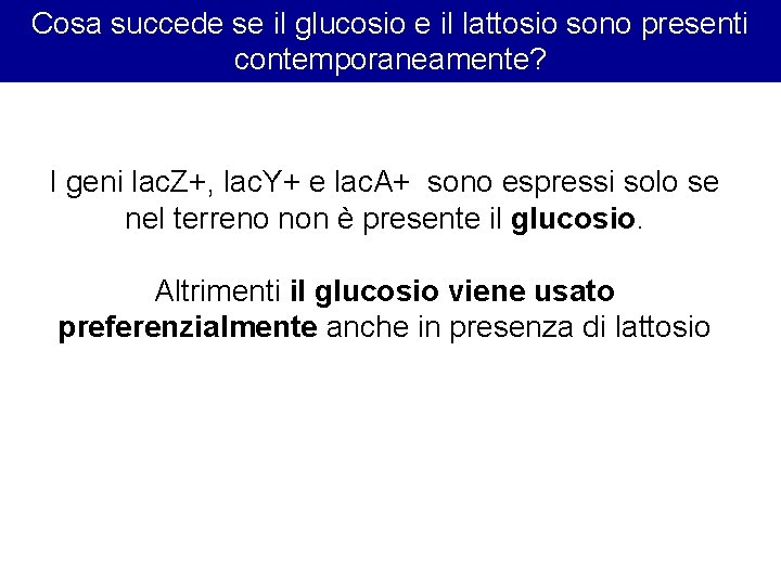 Cosa succede se il glucosio e il lattosio sono presenti contemporaneamente? I geni lac.