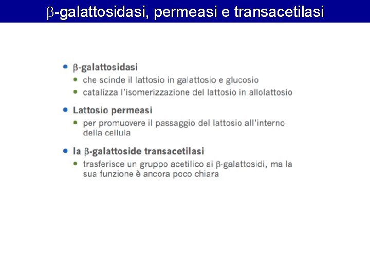  -galattosidasi, permeasi e transacetilasi 