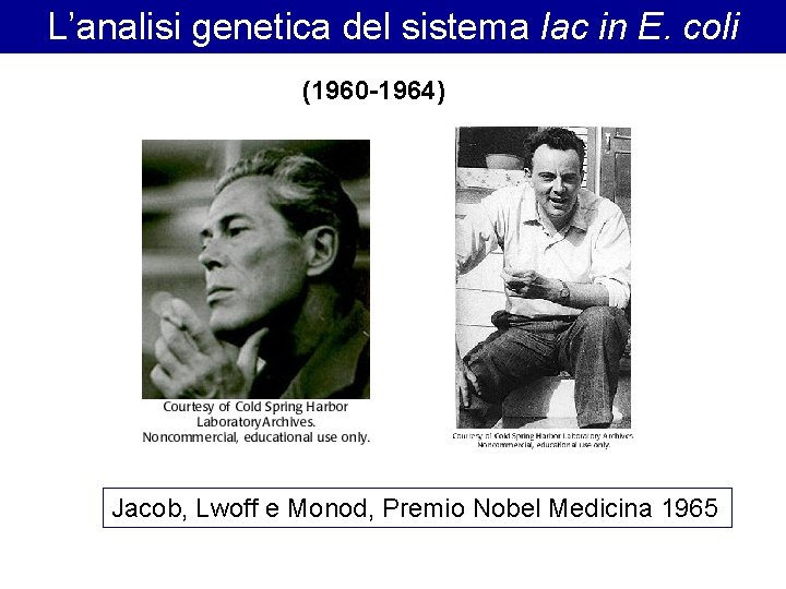 L’analisi genetica del sistema lac in E. coli (1960 -1964) Jacob, Lwoff e Monod,