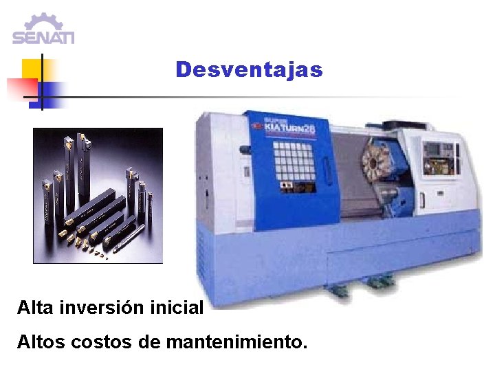 Desventajas Alta inversión inicial Altos costos de mantenimiento. Desventajas Alta inversión inicial Altos costos de mantenimiento.