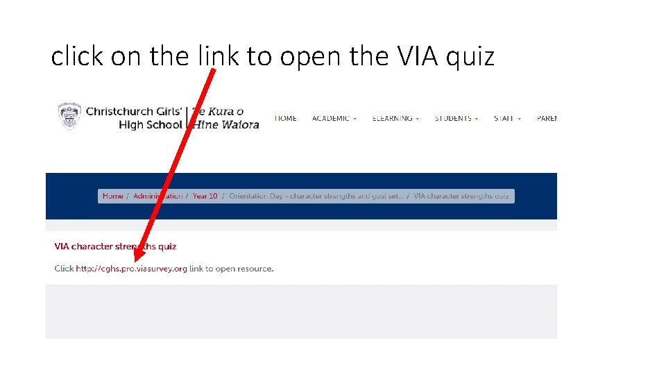click on the link to open the VIA quiz 