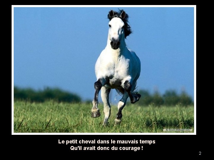 Le petit cheval dans le mauvais temps Qu'il avait donc du courage ! 2