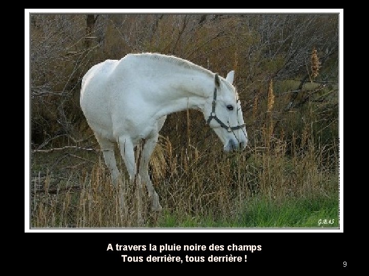 A travers la pluie noire des champs Tous derrière, tous derrière ! 9 