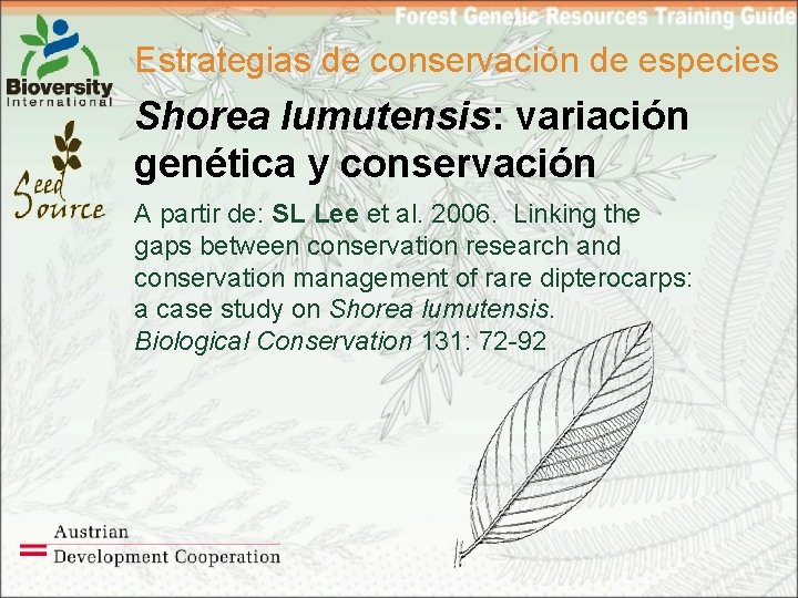 Estrategias de conservación de especies Shorea lumutensis: variación genética y conservación A partir de: