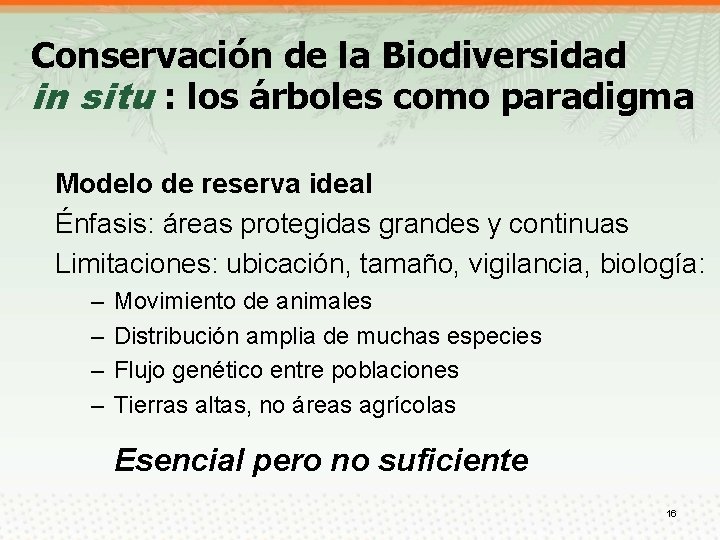 Conservación de la Biodiversidad in situ : los árboles como paradigma Modelo de reserva