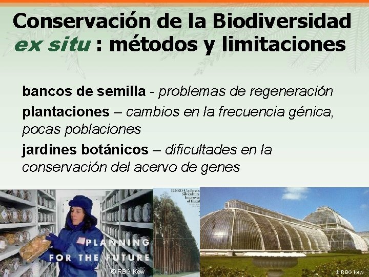 Conservación de la Biodiversidad ex situ : métodos y limitaciones bancos de semilla -